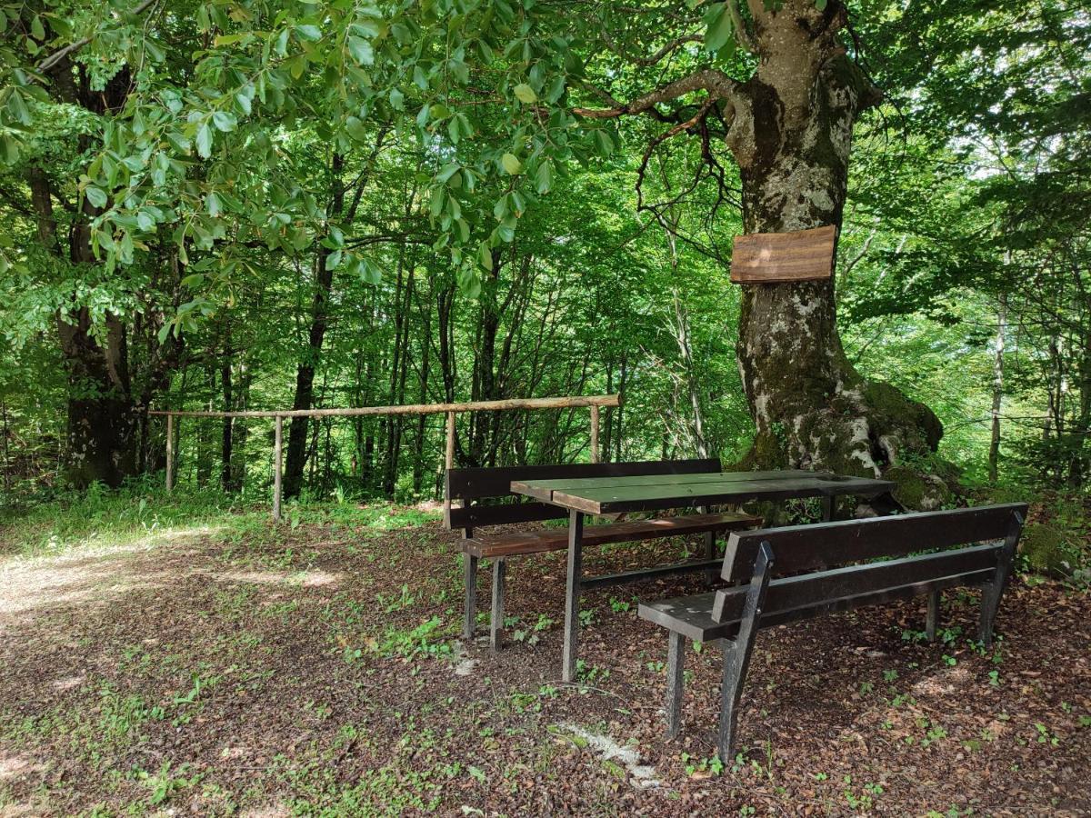 Holiday Home "Sleme" With Jacuzzi, Big Garden And Arbor With Fireplace Skrad Exteriér fotografie