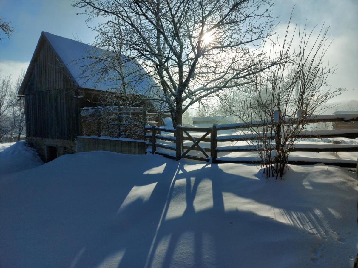 Holiday Home "Sleme" With Jacuzzi, Big Garden And Arbor With Fireplace Skrad Exteriér fotografie